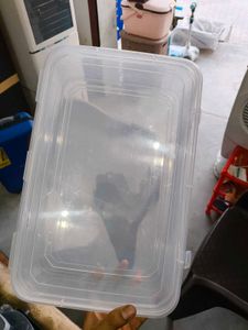 Clear Plastic Storage Box