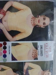 Regular Wear Blouse For Women