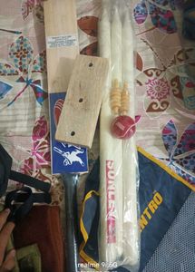 Cricket Kit - Bat, Stumps, and More!