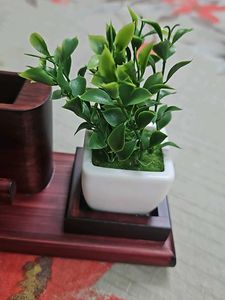 Wooden Pen And Card Holder with Plant Decor