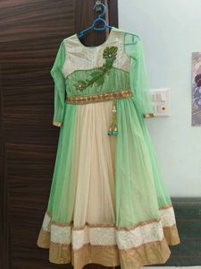 Elegant Ethnic Gown