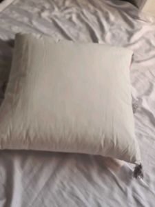 Decorative Throw Pillow