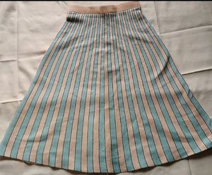 Knee Length Skirt