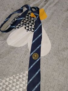 MAHI International school Tie