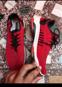 8 Pack Shoes