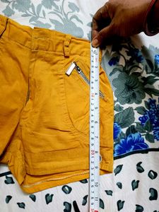 Lion Yellow Cotton Hot Pant