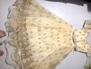 Elegant Gold Embroidered Lehenga Choli