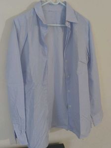 Trending Shirt