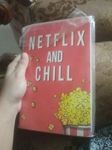 Netflix And Chill Book