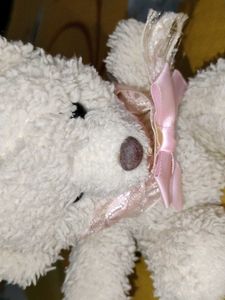 Cute mini Teddy Bear