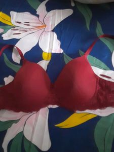 Maroon Color Bra