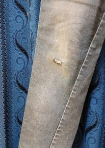 Combo Branded Shirt And Pant.Used But Good.