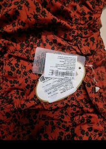 Plus New Crop Top With Tag