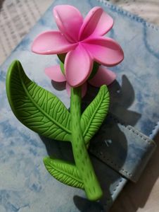 Plumeria (Frangipani) Flower Hair Clutcher!