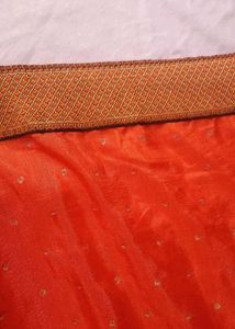 Orange Saree with Embellishments