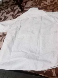 Combo  Of Two Shirts