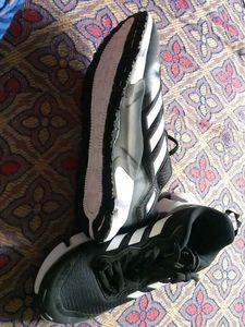 Adidas Sneakers