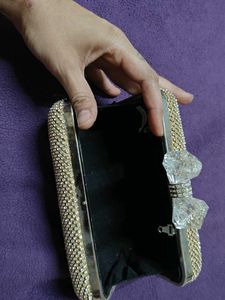 Ladies Clutch