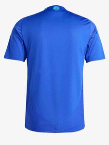 Argentina Away Player Version Jersey