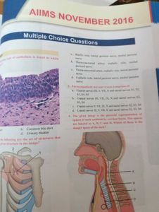 AIIMS Essence 2017-2015