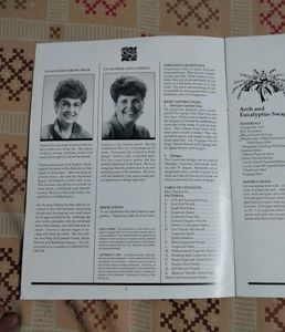 Grapevine Decor (Imported Craft Book)