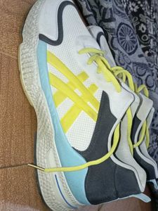 Mens Multicolor Shoe