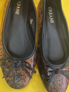 Stylish Urbane Ballerinas