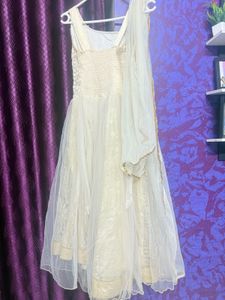Elegant Ethnic Gown