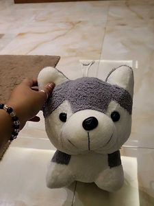Husky Plush Toy