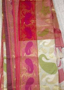 Vibrant Saree
