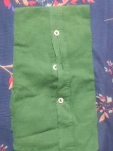 Driftwood Green Regular Fit Shirt