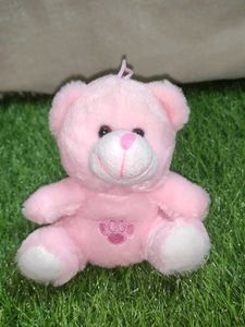 Sweet Mini Teddy