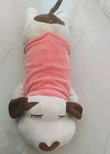 Dog Cloth