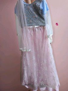 Elegant Pink Floral Lehenga Choli Set