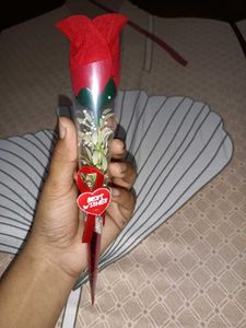 Red Rose Bouquet - Perfect Gift!