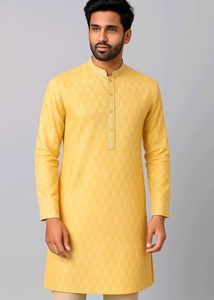 Elegant Men's Kurta Set
