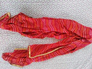 Elegant Beige &amp; Red Embroidered Suit