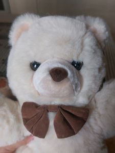 Cream Teddy Bear
