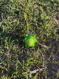 Froggie 🐸 Clay Charm Accesories (1 Pc)