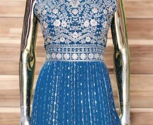 Beautiful Blue Ethnic Gown