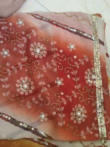 Elegant Embellished Saree
