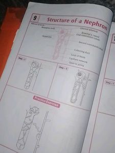 Class X Biology Record Book