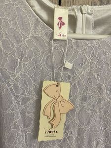 Elegant Lace Dress