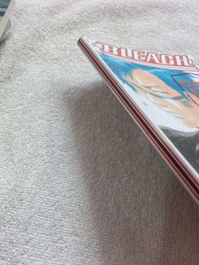 Bleach: Can&#39;t Fear Your Own World I