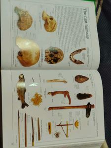 Ultimate Family Visual Dictionary