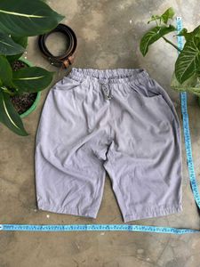 Dickies Shorts