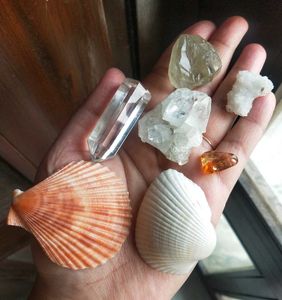 Healing Crystals &amp; Seashells Collection