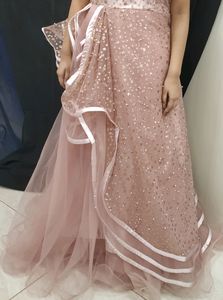 Beautiful Princess Ball Gown (Sleeves attached )