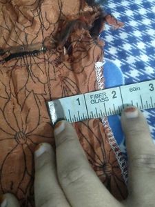 Ethnic Kurta with Embellishments