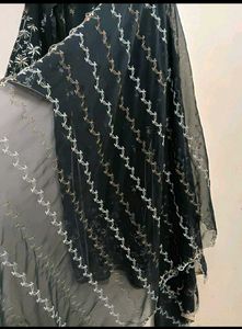 Pakistani Suit ( Kurti + Dupatta )
